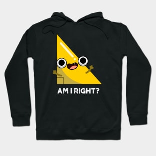 Am I Right Cute Right Angle Pun Hoodie